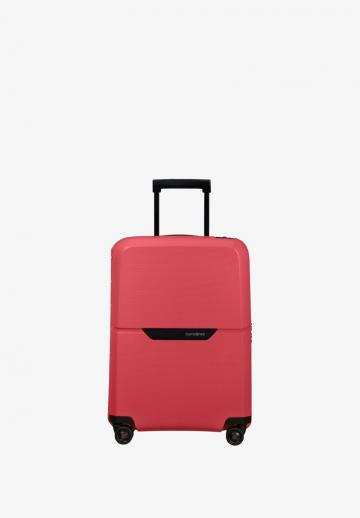 Чемодан на колесах