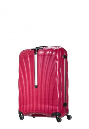 Чемодан на колесах