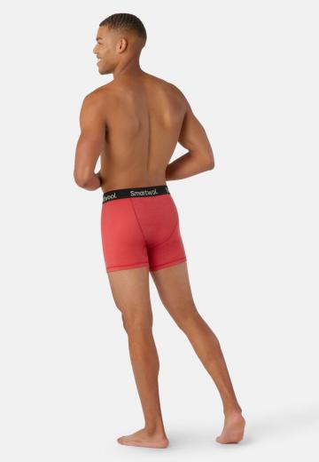 Подштанники