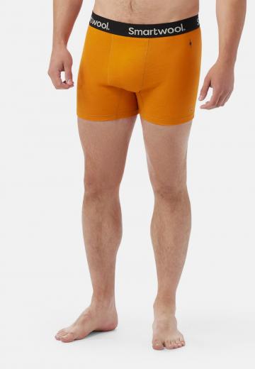 Подштанники