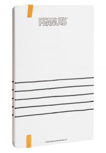 Папка для документов