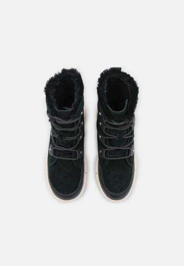 Зимние ботинки