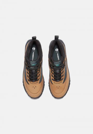 Высокие кеды