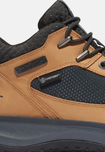 Высокие кеды