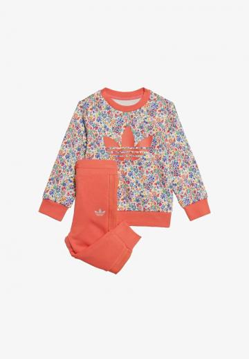 Набор одежды