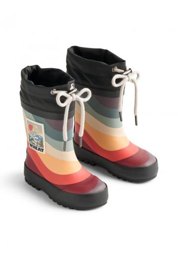 Резиновые сапоги