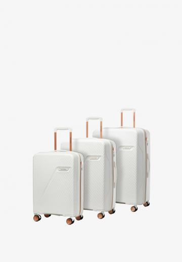 Чемодан на колесах