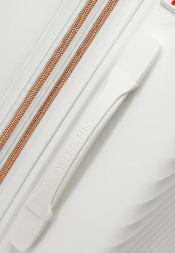 Чемодан на колесах