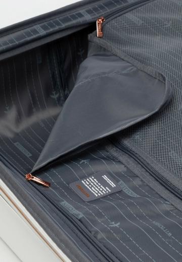 Чемодан на колесах