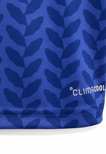 Спортивные шорты