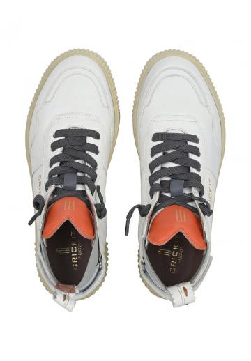 Высокие кеды