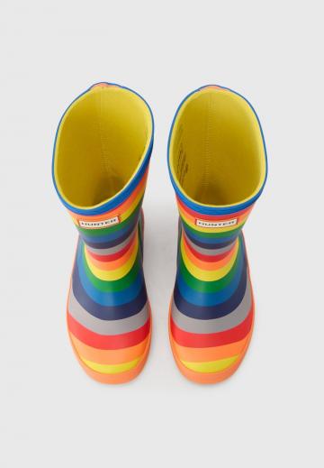 Резиновые сапоги