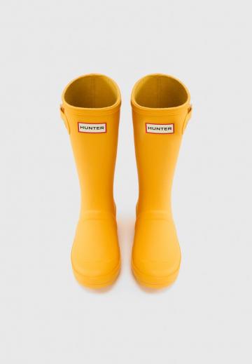 Резиновые сапоги