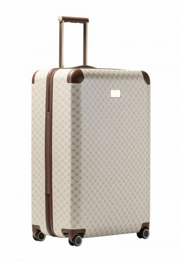 Чемодан на колесах