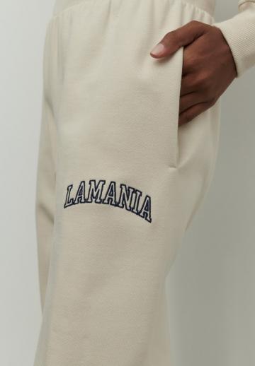 Спортивные штаны