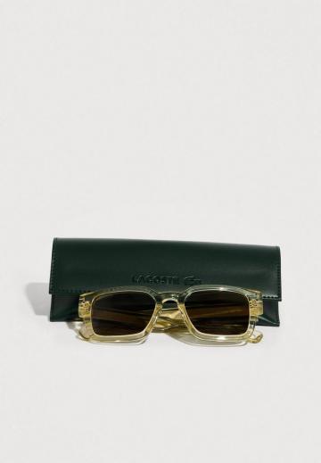 Солнечные очки