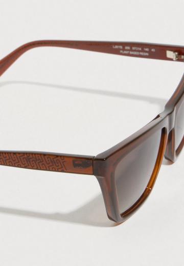 Солнечные очки