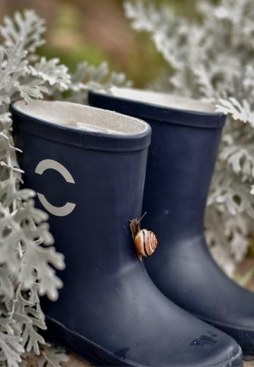 Резиновые сапоги