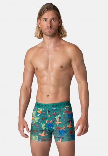 Трусы шортики