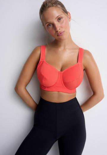 Бюстгальтер