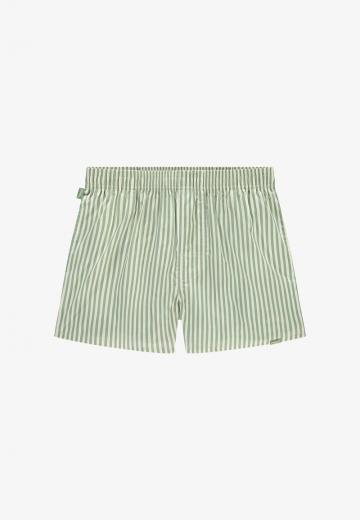 Трусы-боксеры