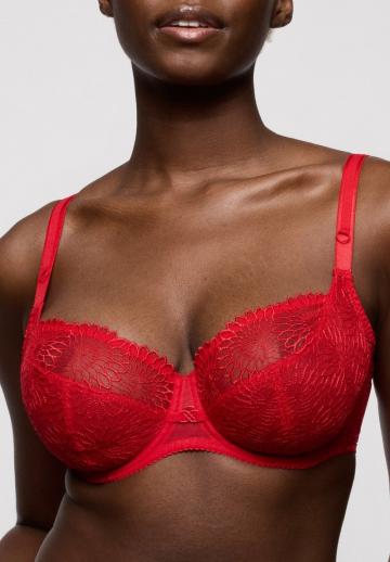 Бюстгальтер