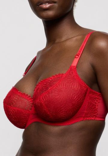 Бюстгальтер