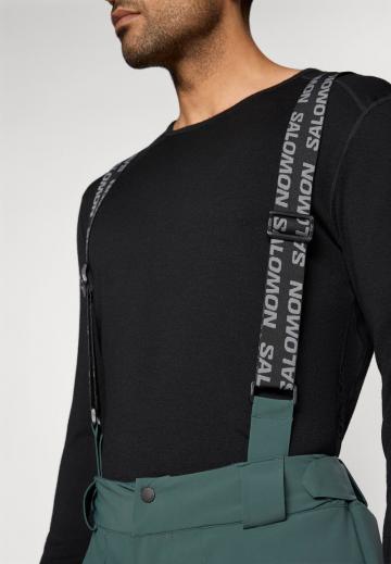 Сноубордические штаны