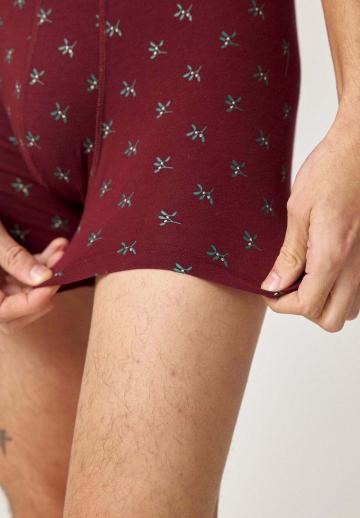 Подштанники