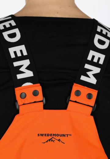 Сноубордические штаны