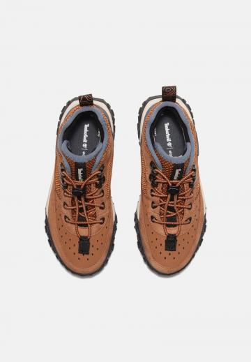 Высокие кеды