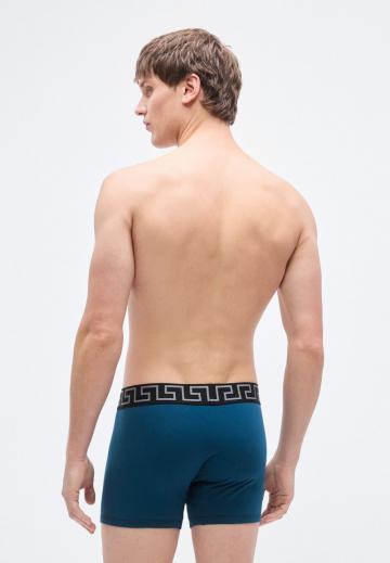 Трусы шортики