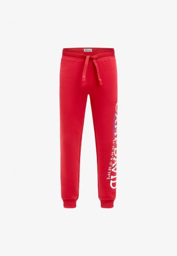 Спортивные штаны