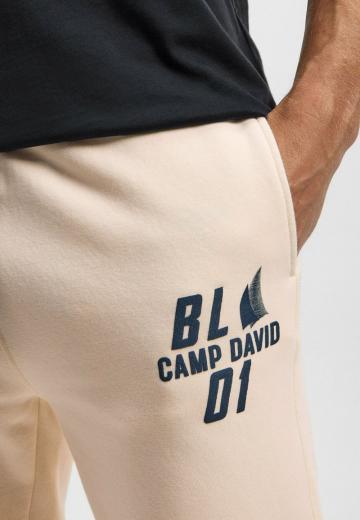 Спортивные штаны