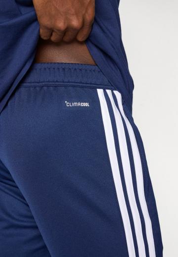 Спортивные бриджи