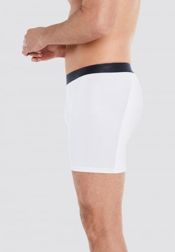 Подштанники