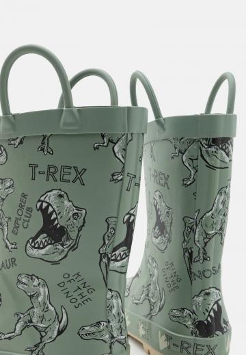 Резиновые сапоги