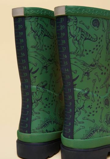 Резиновые сапоги