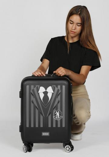 Чемодан на колесах