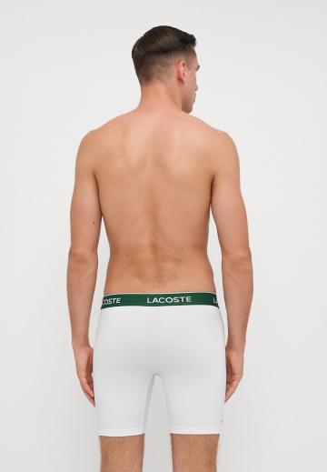 Подштанники