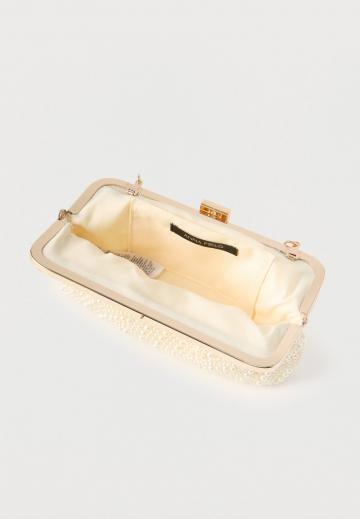 Вечерняя сумка