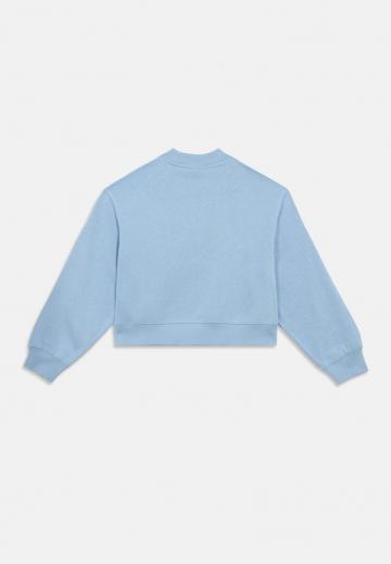 Толстовка