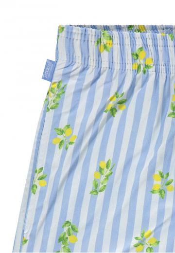 Трусы-боксеры