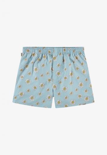 Трусы-боксеры