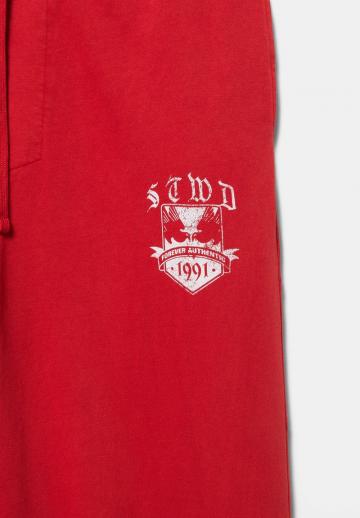 Спортивные штаны