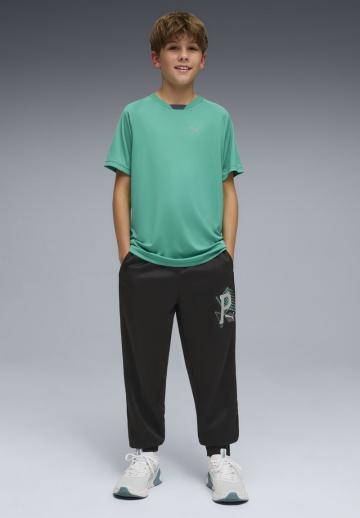 Спортивные штаны