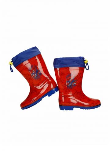 Резиновые сапоги