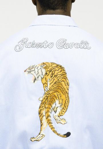 Куртка бомбер