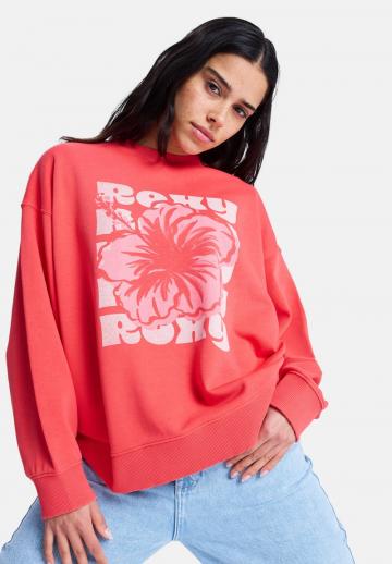 Спортивная толстовка