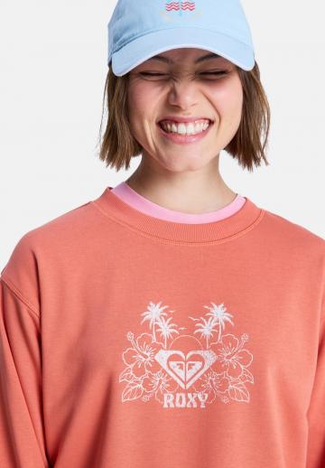 Спортивная толстовка